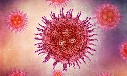 Uzmanı uyardı: HPV yıllarca belirti vermeden ilerliyor