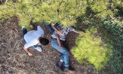 Ormanda kaybolmuştu: Dron sayesinde bulundu!
