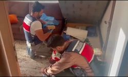 Vize randevusu operasyonunda 37 şüpheli tutuklandı