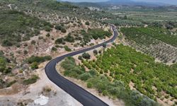Efes Selçuk'ta Zeytinköy Yolu yenileniyor