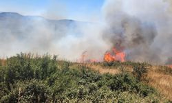 Aliağa’da fabrikalar bölgesinde alevler yükseldi
