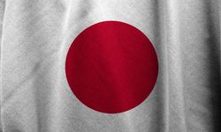 Japonya’yı vuran yağış 8 can aldı!