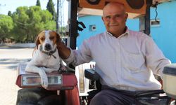 Sahibinin gölgesi oldu: Benekli traktörden inmiyor!