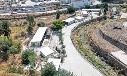 Karşıyaka’da 282 patili dost sıcak yuvalarını bekliyor