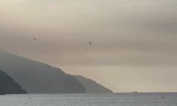 Muğla’da orman yangını ikinci gününde