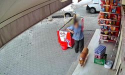 Pitbull saldırdı, parmağını kopardı!