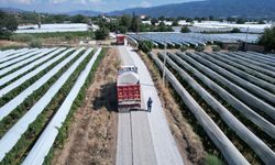 Sarıgöl’de üzüm hasadı öncesi yol çalışması