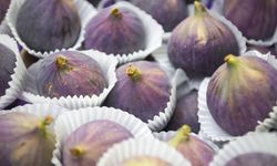 Dünya lideri Türk taze incirinde ihracat sezonu başladı