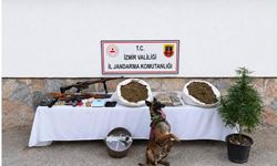 Urla’da zehir operasyonu!