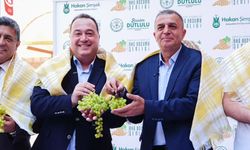 Manisa’da Bağbozumu Şenlikleri için geri sayım başladı