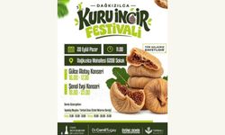 Dağkızılca Kuru İncir Festivali coşkusu başlıyor
