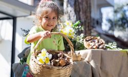 Karaburun’un nergislerine büyük destek!