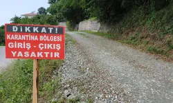 Bergama'da mavi dil alarmı: 15 mahalle karantinada!