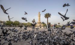 İzmir’in iklim çalışmaları Avrupa ile buluşuyor
