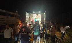 Bingöl’de kontrolden çıkan otomobil yoldan çıktı: 2 yaralı