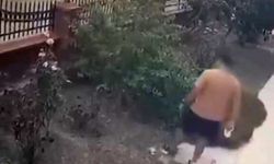 Bayraklı’da anne kediye tekmeli saldırı kamerada!