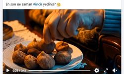 Aydın inciri kısa filmle gündemde