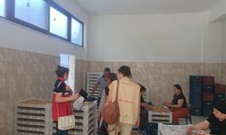 Aydın incirinde Bozdoğan’da saha denetimi