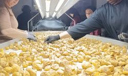 Aydın incirinde tesis denetimleri sürüyor