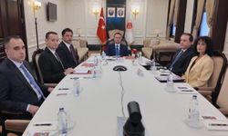 Türkiye-Yunanistan adli iş birliğinde kritik başlıklar masada