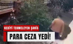 Anne kediye tekme atan şahsa ceza!