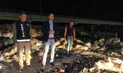 Bornova’da moloz alarmı!