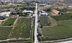 Büyükşehir, Muradiye’de yolları yeniliyor