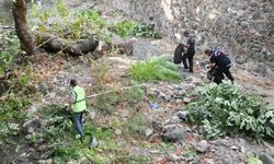 Çaybaşı Deresi’nde kış öncesi kapsamlı temizlik