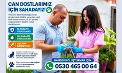 Güzelbahçe’de sokak kedileri için sağlık çalışması