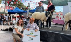 11’inci Ovacık Tarım ve Sakız Koyunu Festivali tamamlandı!