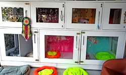 Çeşme’de pet hizmetlerine sosyal sorumluluk dokunuşu