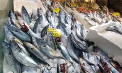 İzmir’de balık sezonu bereketli başladı: Fiyatlar düştü!