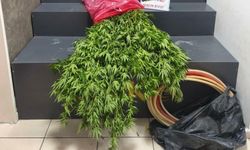 Konak'ta 3 adrese baskın: 4 tutuklama!