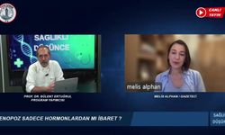Melis Alphan: 'Kadına şiddet izimlerle sınırlı değil'