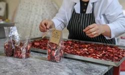 Kadın kooperatiflerine e-ticarette güçlü destek