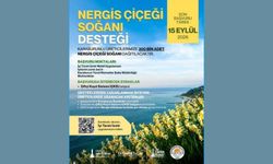 Karaburunlu üreticilere 300 bin adet nergis çiçeği soğanı desteği
