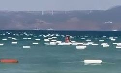 Çeşme’de denizi köpük kutular bastı