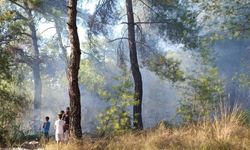 Köyceğiz’de ormanlık alanda yangın paniği