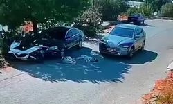 Yolda yatan köpeklerin üzerinden geçti, durmadan devam etti