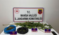 Sarıgöl'de jandarma operasyonu: 352 gram esrar ele geçirildi