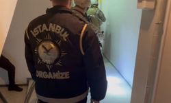 Daltonlar suç örgütüne 30 ilde operasyon: 85 gözaltı!