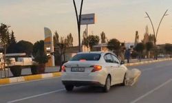 Akhisar’da otomobil koyun ve keçilere çarptı: 3 keçi telef oldu