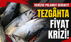 Palamut bolluğu kriz çıkardı: Balıkçılar avı durdurmak istiyor!