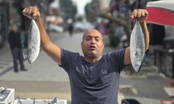 Bandırma’da palamutun fiyatı 75 liraya düştü