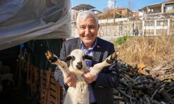 Kemalpaşa’da zeytin üreticilerine kasa desteği