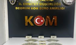 Bodrum’da 46 bin 200 dolarlık sahte para ele geçirildi