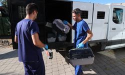Buca Belediyesi’nden iddialara yanıt