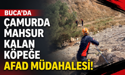 Buca’da çamur alanında mahsur kalan köpeğe AFAD müdahalesi!