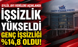 Eylül ayında işsizlik yükseldi, genç işsizliği yüzde 14,8 oldu!