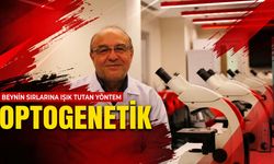 Optogenetik: Beyin hücreleri ışıkla kontrol ediliyor